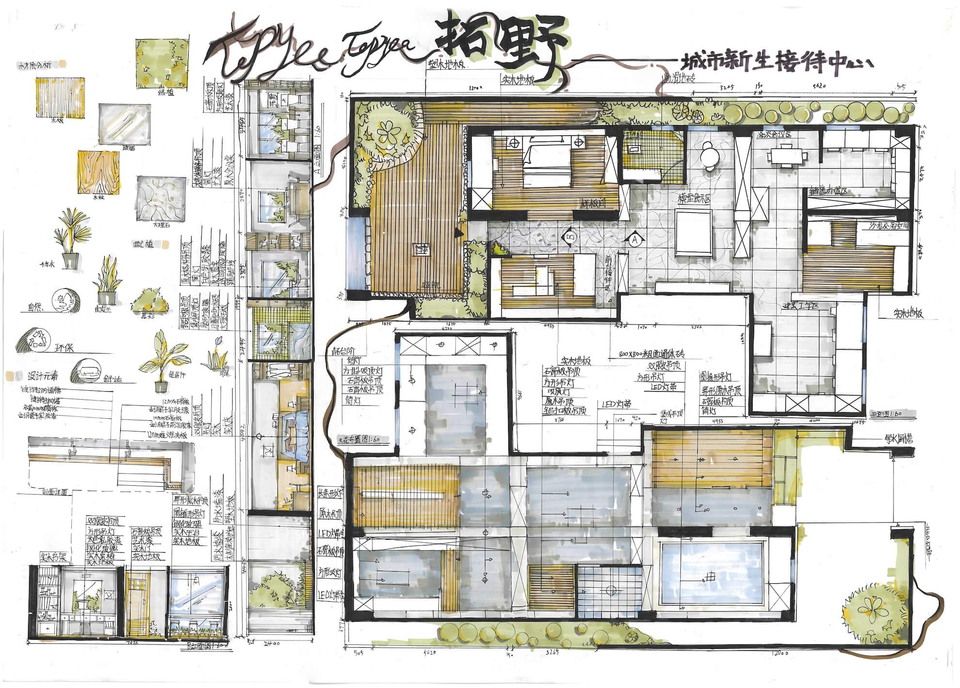 拓野1.jpg
